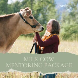 Milk Cow Mentoring Package